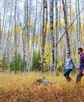 Airplane mode activated: Places to go to unplug from election stress
