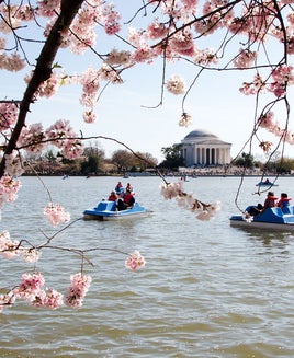 The perfect 1-day field trip in Washington, DC, for travelers of all ages